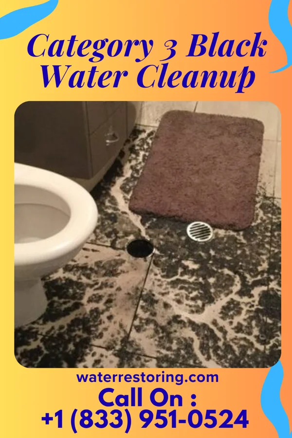 Category 3 Black Water Cleanup in Bargersville, IN