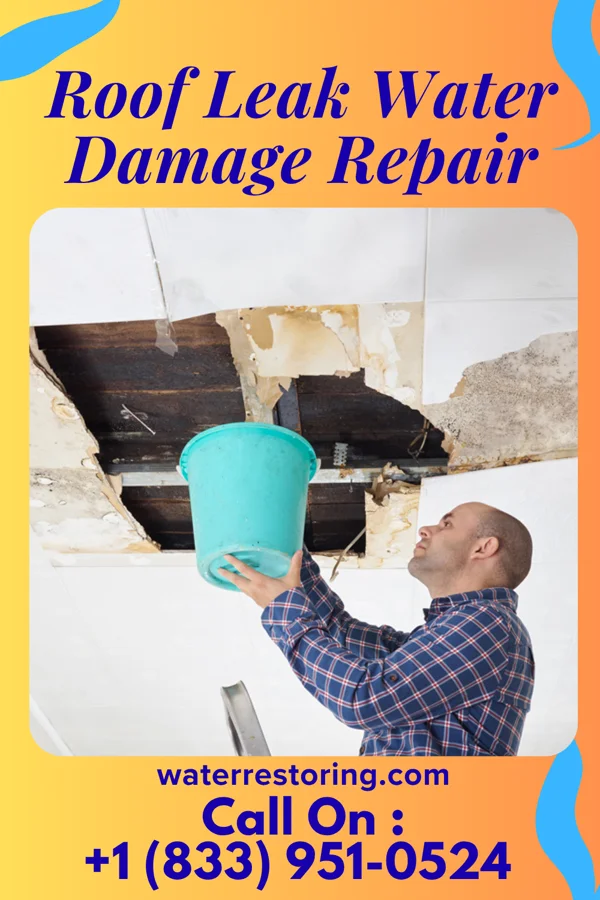 Roof Leak Water Damage Repair in Bargersville, IN