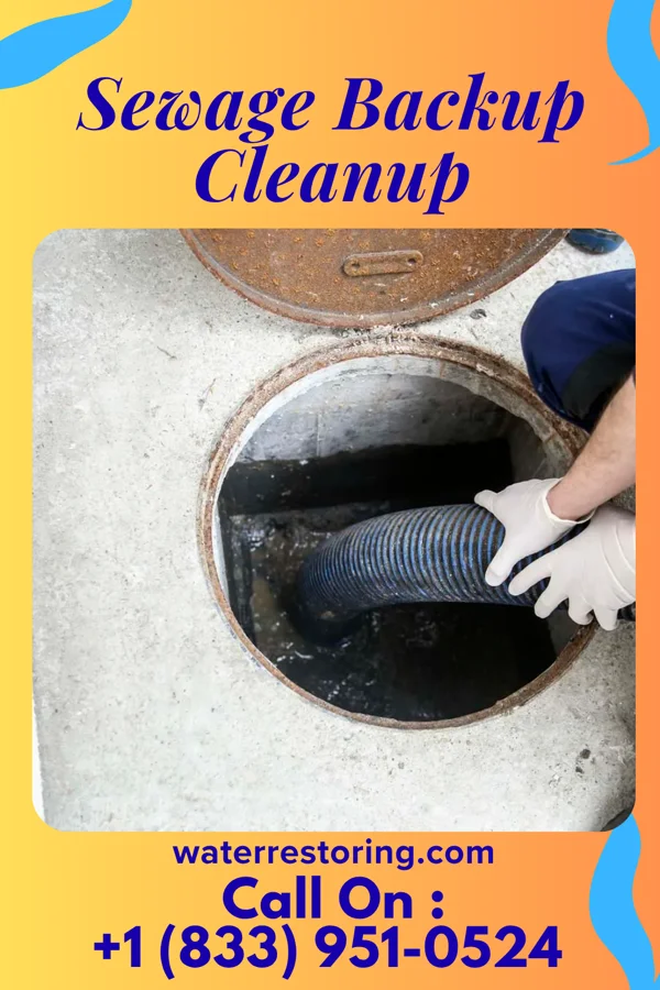 Sewage Backup Cleanup in Bargersville, IN