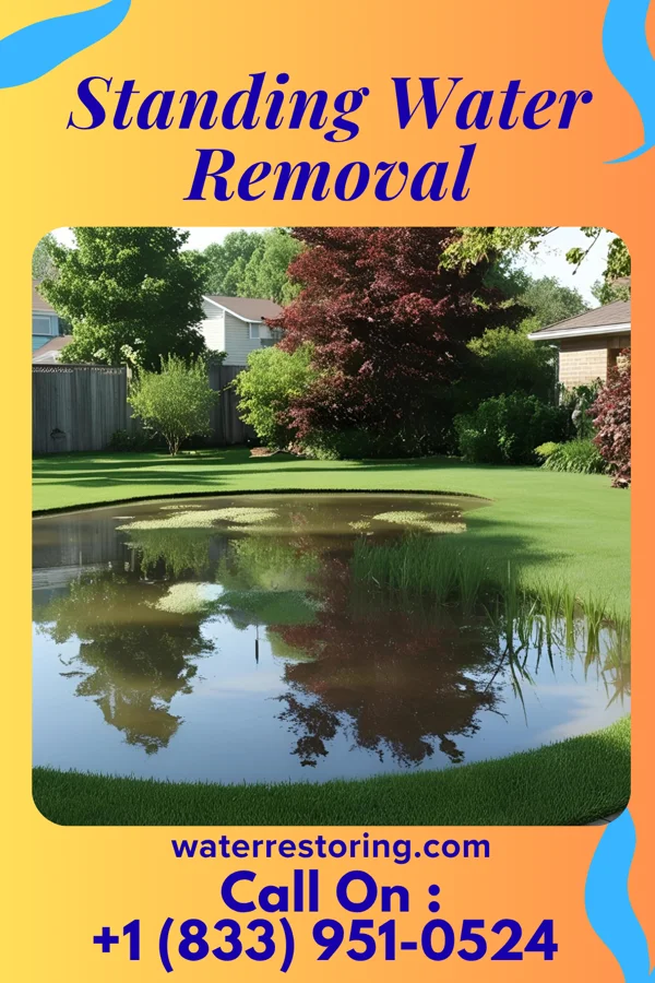 Standing Water Removal in Bargersville, IN